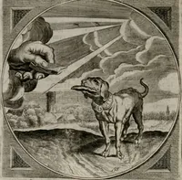An illustration from Alle de wercken, so ouden als nieuwen (1658)
