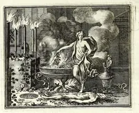 Picture 25 of 75 from Alle de werken van Publ. Ovidius Naso (1700), leaf 74