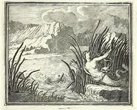 Picture 15 of 72 from Alle de werken van Publ. Ovidius Naso (1700), leaf 109