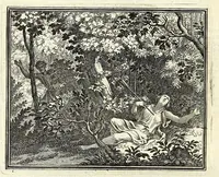 Picture 39 of 72 from Alle de werken van Publ. Ovidius Naso (1700), leaf 228