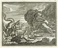 Picture 71 of 72 from Alle de werken van Publ. Ovidius Naso (1700), leaf 437