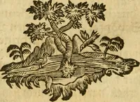 An illustration from Allgemeine Geschichte Würtenbergs und dessen angränzender Gebiethe und Gegenden, nach den merkwürdigsten Veränderungen in Staats-Kirchen und Burgerlichen Wesen : Alles mit nöthigen Documenten bewiesen und mit vielen Kupfern gezieret (1764)