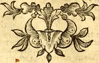 An illustration from Allgemeine Geschichte Würtenbergs und dessen angränzender Gebiethe und Gegenden, nach den merkwürdigsten Veränderungen in Staats-Kirchen und Burgerlichen Wesen : Alles mit nöthigen Documenten bewiesen und mit vielen Kupfern gezieret (1764)