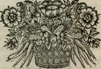 An illustration from Almahide, ou, L'esclave reine : dédiée à Mademoiselle (1663)