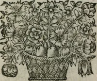 An illustration from Almahide, ou, L'esclave reine : dédiée à Mademoiselle (1663)