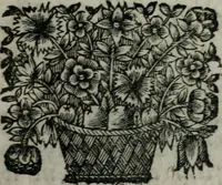 An illustration from Almahide, ou, L'esclave reine : dédiée à Mademoiselle (1663)