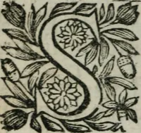 An illustration from Almahide, ou, L'esclave reine : dédiée à Mademoiselle (1663)