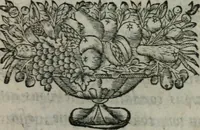 An illustration from Almahide, ou, L'esclave reine : dédiée à Mademoiselle (1663)