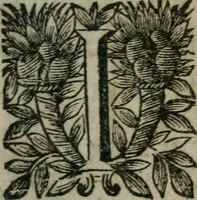 An illustration from Almahide, ou, L'esclave reine : dédiée à Mademoiselle (1663)