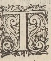 An illustration from Aloe amari sed salubris succi jejunium : quod in aula sermi. utriusque Bauariae Ducis Maximiliani S.R.I. Archidapiferi, electoris, &c. (1643)