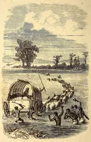 An illustration from Alone among the Zulus : the narrative of a journey through the Zulu country, South Africa (1910)