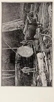 Picture 8 of 18 from Along the Columbia River (1890), leaf 48
