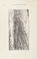 Picture 15 of 18 from Along the Columbia River (1890), leaf 92