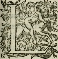 An illustration from Alphabet anatomic, avqvel est contenve l'explication exacte des parties dv corps hvmain, et reduites en tables selon l'ordre de dissection ordinaire. Auec l'osteologie, & plusieurs obseruations particulieres (1594)