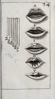 Picture 25 of 25 from Alphabeti verè naturalis Hebraici brevissima delineatio : quae simul methodum suppeditat, juxta quam qui surdi nati sunt sic informari possunt, ut non alios saltem loquentes intelligant, sed & ipsi ad sermonis usum perveniant (1667), leaf 105