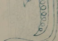 An illustration from Alphabets (1860)