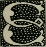 An illustration from Alphabets old and new, for the use of craftsmen : with an introductory essay on Art in the alphabet (1898)