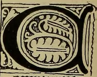 An illustration from Alphabets old and new, for the use of craftsmen (1910)