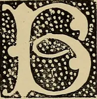 An illustration from Alphabets old and new, for the use of craftsmen (1910)