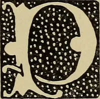 An illustration from Alphabets old and new, for the use of craftsmen (1910)