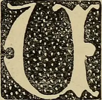Picture 101 of 299 from Alphabets old and new, for the use of craftsmen (1910), leaf 130