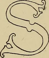 An illustration from Alphabets old and new, for the use of craftsmen (1910)