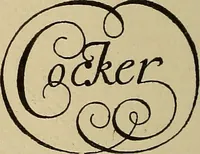 An illustration from Alphabets old and new, for the use of craftsmen (1910)