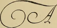 An illustration from Alphabets old and new, for the use of craftsmen (1910)