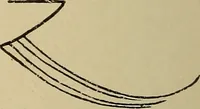 An illustration from Alphabets old and new, for the use of craftsmen (1910)