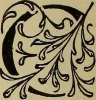 An illustration from Alphabets old and new, for the use of craftsmen (1910)