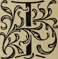 An illustration from Alphabets old and new, for the use of craftsmen (1910)