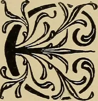 An illustration from Alphabets old and new, for the use of craftsmen (1910)