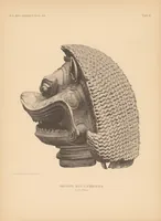 Picture 8 of 10 from Alterthümer aus dem Ostindischen Archipel und angrenzenden gebieten : unter besonderer Berücksichtigung derjenigen aus der hinduischen Zeit (1884), leaf 45