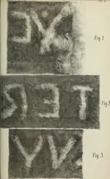 Picture 3 of 9 from Altitalische Studien (1883), leaf 242