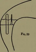 An illustration from The amateur carpenter (1915)