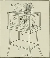 An illustration from Amateur mechanics ... a book for old and young who like to make things .. (1907)