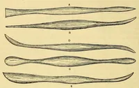 An illustration from Amateur work, illustrated (1881)