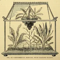 Picture 11 of 15 from Amateur work, illustrated (1881), leaf 512