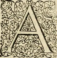 An illustration from Ambrae historiam : ad omnipotentis Dei gloriam et hominum sanitatem (1666)