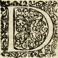 An illustration from Ambrae historiam : ad omnipotentis Dei gloriam et hominum sanitatem (1666)