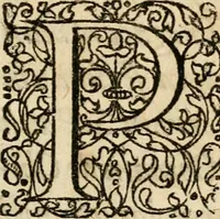 An illustration from Ambrae historiam : ad omnipotentis Dei gloriam et hominum sanitatem (1666)