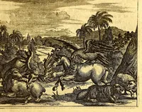 An illustration from America: being an accurate description of the Nevv VVorld; : containing the original of the inhabitants; the remarkable voyages thither: the conquest of the vast empires of Mexico and Peru, their ancient and later vvars. With their several plantations, many, and rich islands; their cities, fortresses, towns, temples, mountains, and rivers: their habits, customs, manners, and religions; their peculiar plants, beasts, birds, and serpents. (1670)