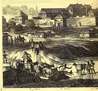 An illustration from America: being an accurate description of the Nevv VVorld; : containing the original of the inhabitants; the remarkable voyages thither: the conquest of the vast empires of Mexico and Peru, their ancient and later vvars. With their several plantations, many, and rich islands; their cities, fortresses, towns, temples, mountains, and rivers: their habits, customs, manners, and religions; their peculiar plants, beasts, birds, and serpents. (1670)