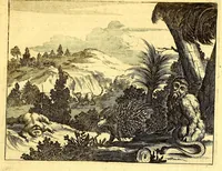 Picture 55 of 69 from America: being the latest, and most accurate description of the Nevv VVorld; : containing the original of the inhabitants, and the remarkable voyages thither. The conquest of the vast empires of Mexico and Peru, and other large provinces and territories, with the several European plantations in those parts. Also their cities, fortresses, towns, temples, mountains, and rivers. Their habits, customs, manners, and religions. Their plants, beasts, birds, and serpents. With an appendix, containing, besides several other considerable additions, a brief survey of what hath been discover'd of the unknown South-Land and the Arctick region. (1671), leaf 657