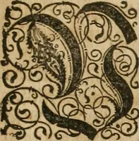 Picture 52 of 135 from America, das ist, Erfindung vnd Offenbahrung der Newen Welt : deroselbigen Völcker, Gestalt, Sitten, Gebräuch, Policey vnd Gottesdienst (1617), leaf 104