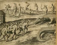Picture 66 of 135 from America, das ist, Erfindung vnd Offenbahrung der Newen Welt : deroselbigen Völcker, Gestalt, Sitten, Gebräuch, Policey vnd Gottesdienst (1617), leaf 132