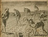 Picture 69 of 135 from America, das ist, Erfindung vnd Offenbahrung der Newen Welt : deroselbigen Völcker, Gestalt, Sitten, Gebräuch, Policey vnd Gottesdienst (1617), leaf 135
