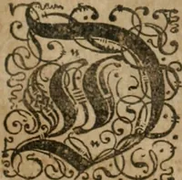 Picture 86 of 135 from America, das ist, Erfindung vnd Offenbahrung der Newen Welt : deroselbigen Völcker, Gestalt, Sitten, Gebräuch, Policey vnd Gottesdienst (1617), leaf 171