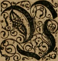 Picture 87 of 135 from America, das ist, Erfindung vnd Offenbahrung der Newen Welt : deroselbigen Völcker, Gestalt, Sitten, Gebräuch, Policey vnd Gottesdienst (1617), leaf 177