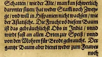 An illustration from America, das ist, Erfindung vnd Offenbahrung der Newen Welt, deroselbigen Völcker, Gestalt, Sitten, Gebräuch, Policey vnd Gottesdienst, in dreyssig vornemste Schifffahrten kürtzlich vnnd ordentlich zusammen gefasset, vnd mit seinen Marginalien vnnd Register erkläret: (1617)